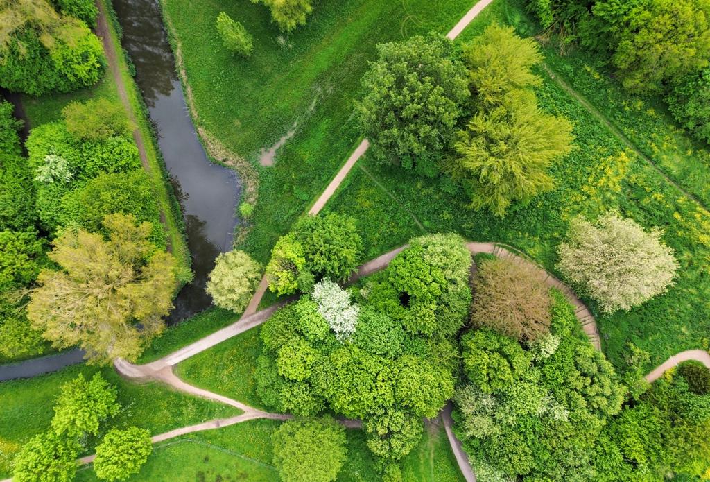 Natuurfoto Nederland met drone vanuit de lucht